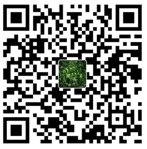 御风 WeChat Pay