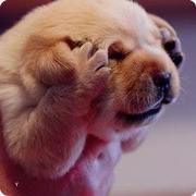 longnightstar的个人资料头像