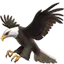 :eagle: