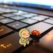 tinyland的个人资料头像