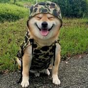 pinocchio23068的个人资料头像