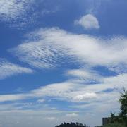 剑在闲上的个人资料头像