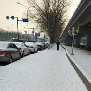 一路向北td的个人资料头像