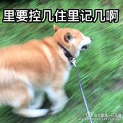 yemengying的个人资料头像
