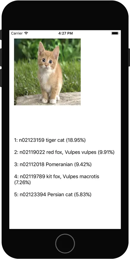The demo app in action