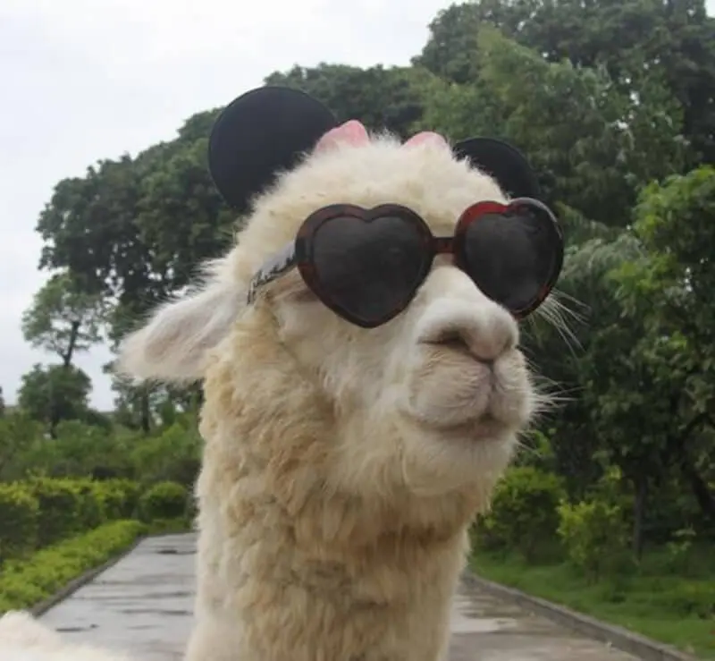 到底什么是BFC、IFC、GFC和FFC，次奥