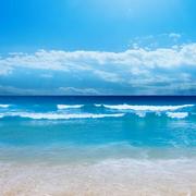 坐忘含光逸尘凌虚的个人资料头像