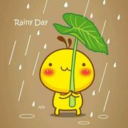 夏小森的个人资料头像