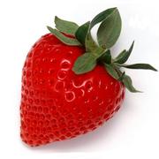 forever_smile的个人资料头像