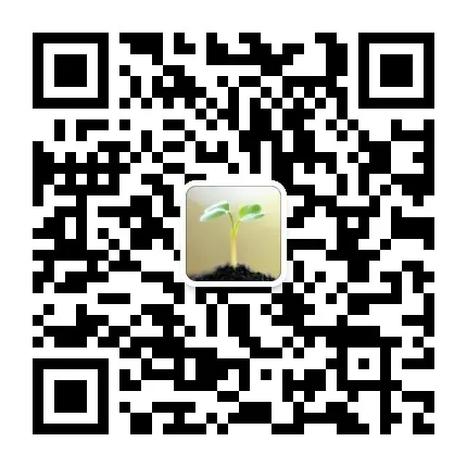 Danceiny wechat