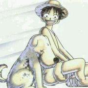 y小鸡快跑的个人资料头像