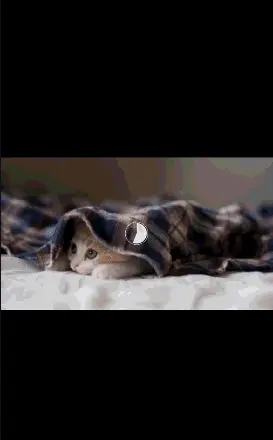 Glide加载图片封装