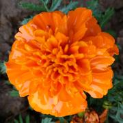 无敌的小贱贱的个人资料头像