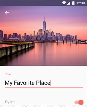 文本字段和开关使用辅助色突显
