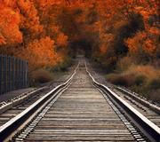 SSG的个人资料头像