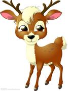 SikaDeer的个人资料头像