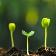 半世的个人资料头像