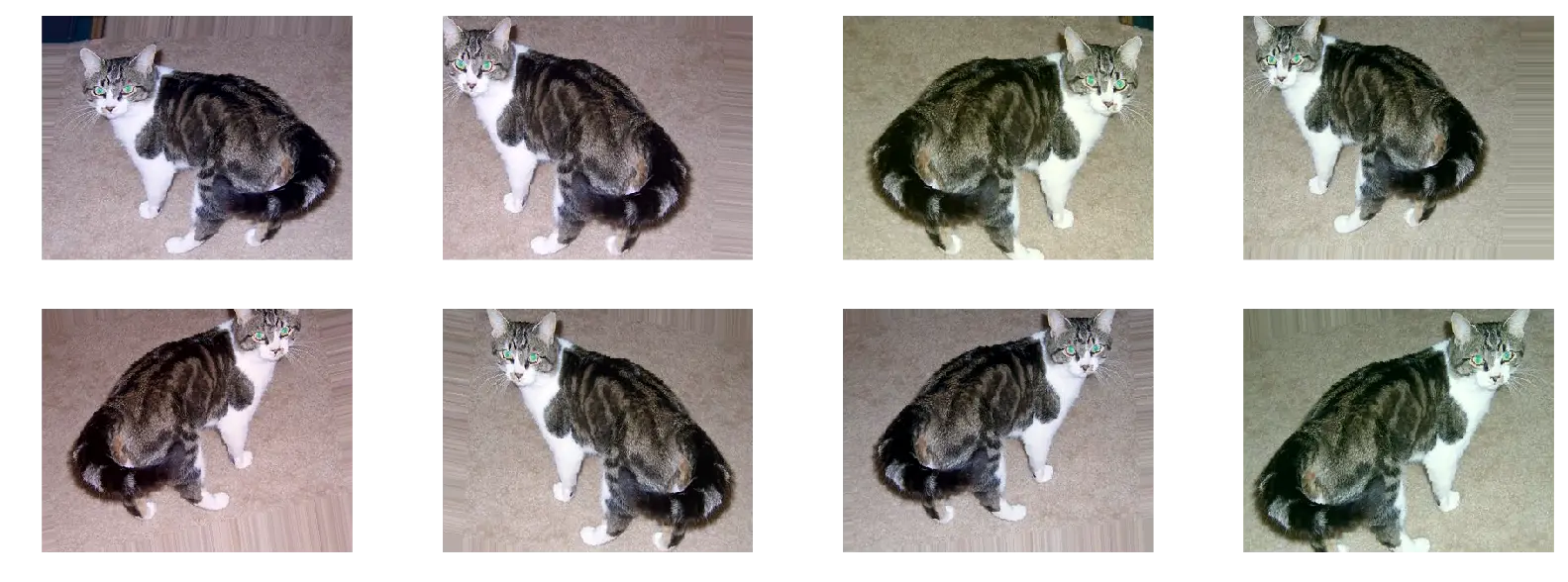 数据增强（Data augmentation）