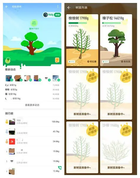 支付宝的蚂蚁森林