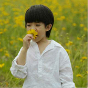 justnever的个人资料头像