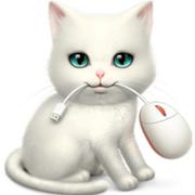 imdrfu的个人资料头像