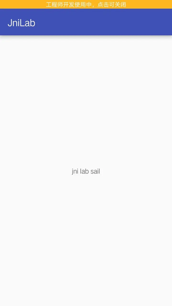 成功调用native方法