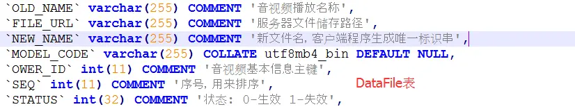 DataFile表.png