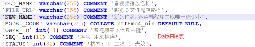 DataFile表.png