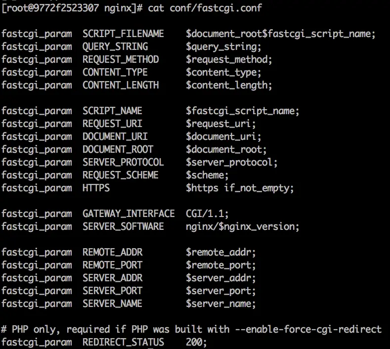 图4，fastcgi.conf文件中的内容