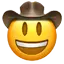 :cowboy_hat_face: