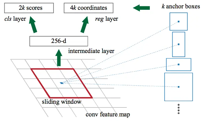 The Region Proposal Network slides a window over the features of the CNN. At each window location, the network outputs a score and a bounding box per anchor (hence 4k box coordinates where k is the number of anchors). Source: https://arxiv.org/abs/1506.01497