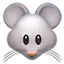 :mouse: