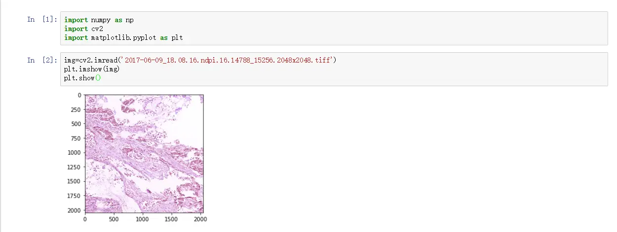 enter image description here