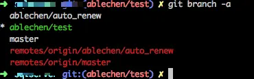 git branch -a