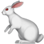 :rabbit2: