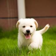 Alan_JAVA的个人资料头像