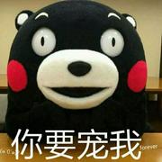 大耳蚊的个人资料头像