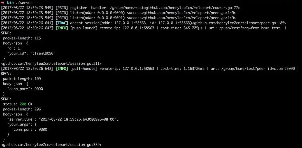 teleport-server-peer