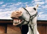 Baal的个人资料头像