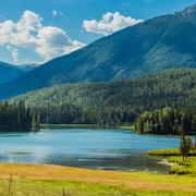 JINJITING28745的个人资料头像