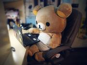 枝枝_zhizhi的个人资料头像