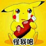 pacopc的个人资料头像