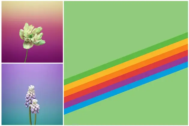 iOS 11 GM中泄露的壁纸