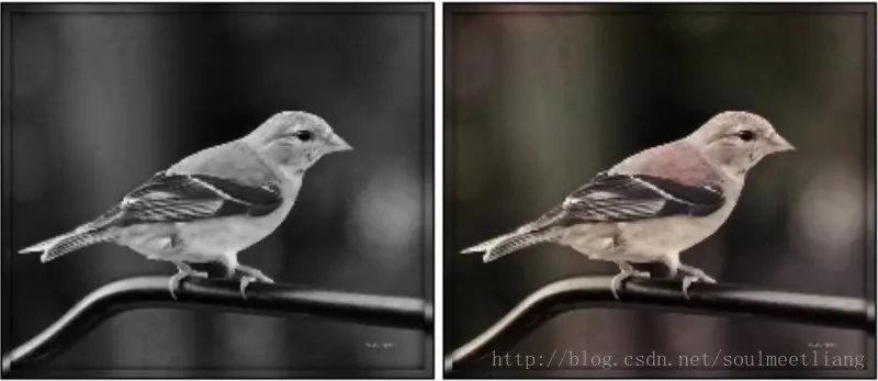 Figure 1.0 Results of a regression based model. Left: Input to the model. Right: Output of the model