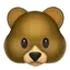 :bear: