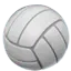 :volleyball: