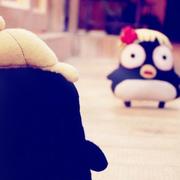 alberttian的个人资料头像