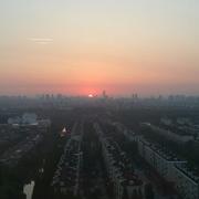 InAction381的个人资料头像