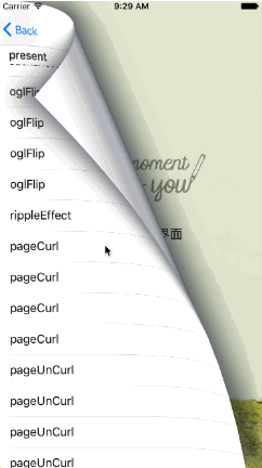 sys_pageCurl.gif