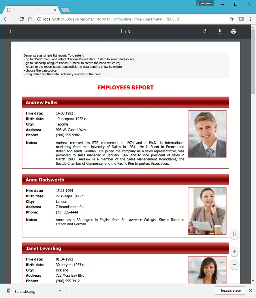 如何在ASP.NET Web API中使用FastReport.Net